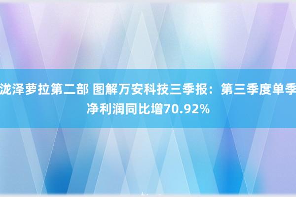 泷泽萝拉第二部 图解万安科技三季报：第三季度单季净利润同比增70.92%