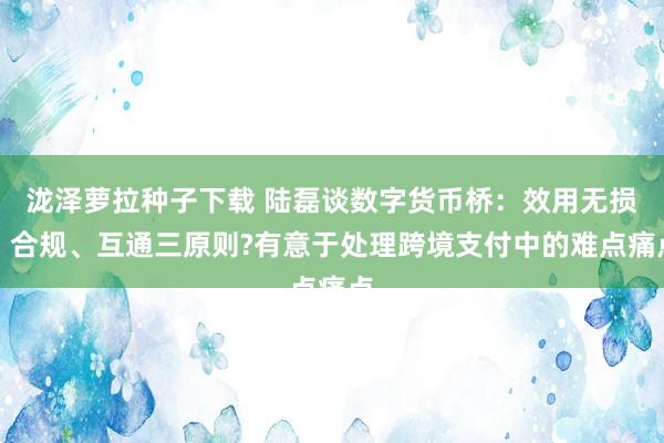 泷泽萝拉种子下载 陆磊谈数字货币桥：效用无损、合规、互通三原则?有意于处理跨境支付中的难点痛点