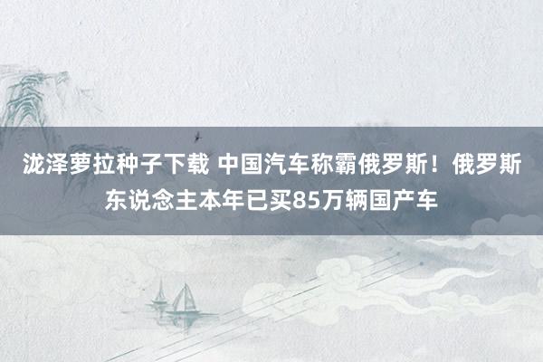泷泽萝拉种子下载 中国汽车称霸俄罗斯！俄罗斯东说念主本年已买85万辆国产车
