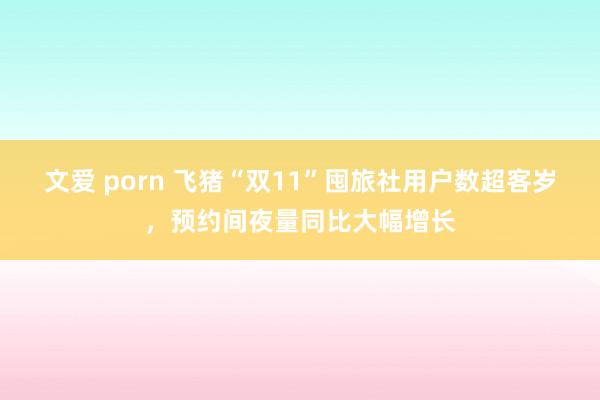 文爱 porn 飞猪“双11”囤旅社用户数超客岁，预约间夜量同比大幅增长