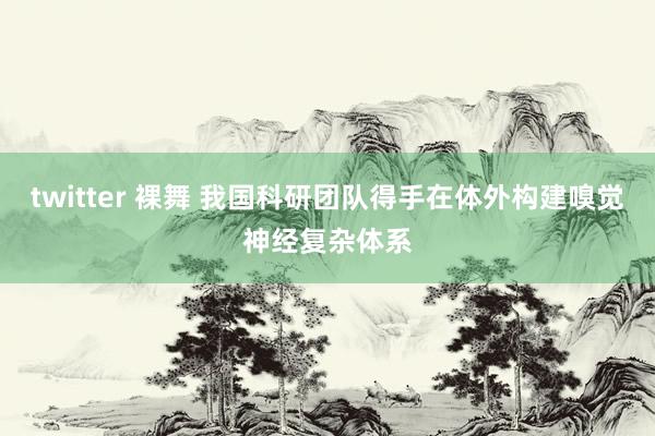 twitter 裸舞 我国科研团队得手在体外构建嗅觉神经复杂体系