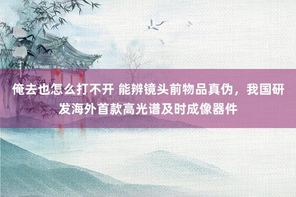 俺去也怎么打不开 能辨镜头前物品真伪，我国研发海外首款高光谱及时成像器件