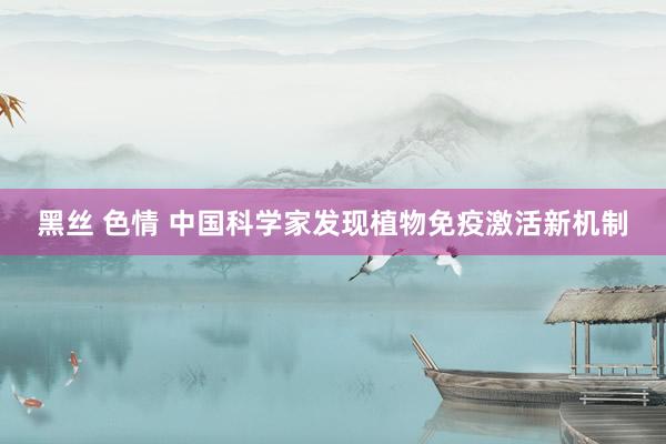 黑丝 色情 中国科学家发现植物免疫激活新机制