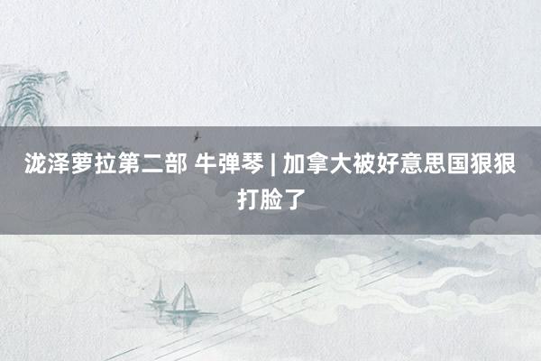 泷泽萝拉第二部 牛弹琴 | 加拿大被好意思国狠狠打脸了