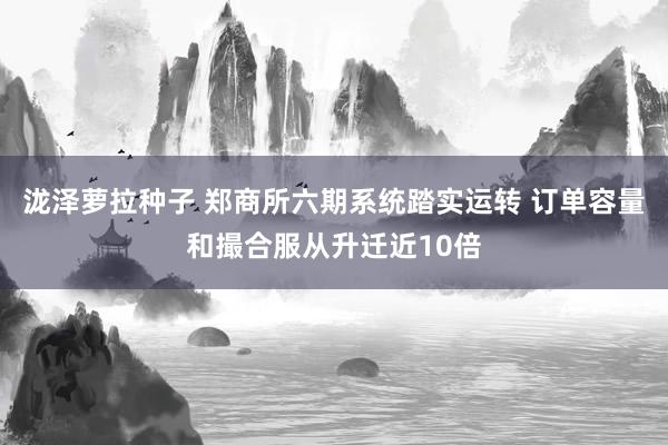 泷泽萝拉种子 郑商所六期系统踏实运转 订单容量和撮合服从升迁近10倍