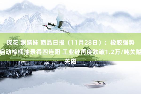 探花 眼睛妹 商品日报（11月28日）：橡胶强势启动棕榈油录得四连阳 工业硅再度跌破1.2万/吨关隘