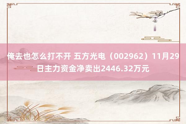 俺去也怎么打不开 五方光电（002962）11月29日主力资金净卖出2446.32万元