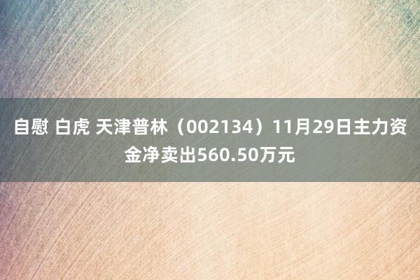 自慰 白虎 天津普林（002134）11月29日主力资金净卖出560.50万元