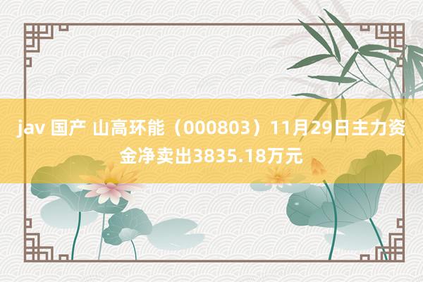 jav 国产 山高环能（000803）11月29日主力资金净卖出3835.18万元