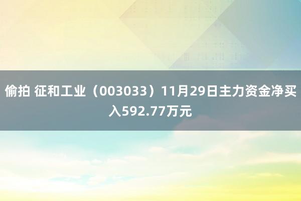 偷拍 征和工业（003033）11月29日主力资金净买入592.77万元