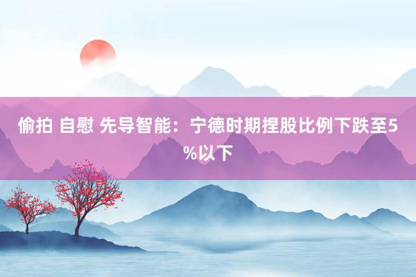 偷拍 自慰 先导智能：宁德时期捏股比例下跌至5%以下