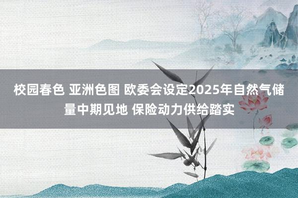 校园春色 亚洲色图 欧委会设定2025年自然气储量中期见地 保险动力供给踏实