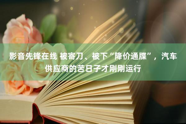 影音先锋在线 被寄刀、被下“降价通牒”，汽车供应商的苦日子才刚刚运行