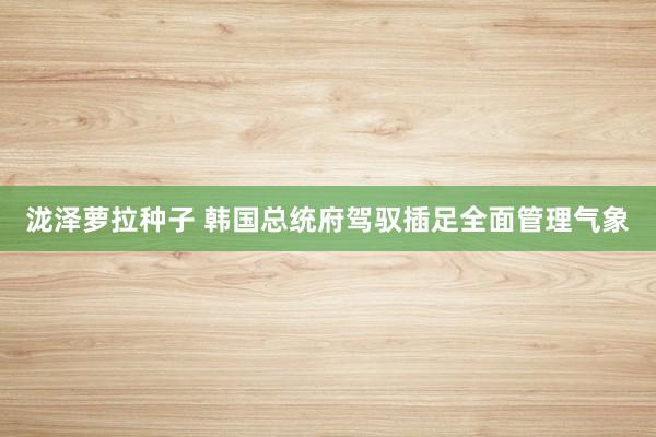 泷泽萝拉种子 韩国总统府驾驭插足全面管理气象