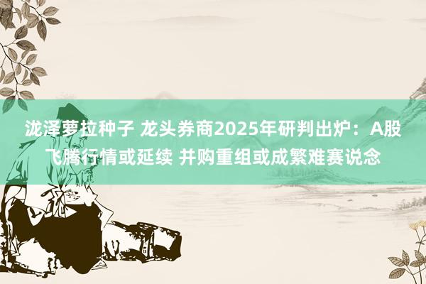 泷泽萝拉种子 龙头券商2025年研判出炉：A股飞腾行情或延续 并购重组或成繁难赛说念
