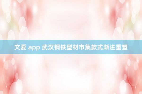文爱 app 武汉钢铁型材市集款式渐进重塑