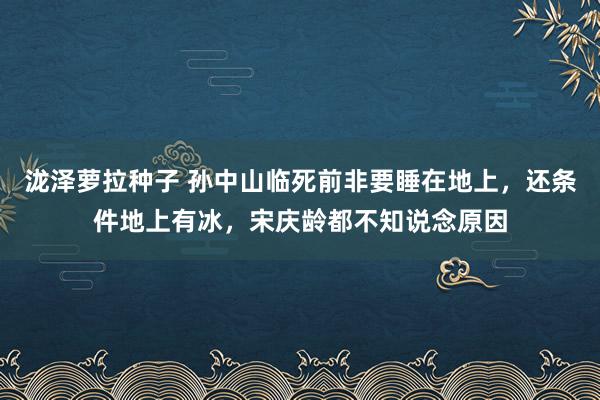 泷泽萝拉种子 孙中山临死前非要睡在地上，还条件地上有冰，宋庆龄都不知说念原因