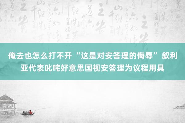 俺去也怎么打不开 “这是对安答理的侮辱” 叙利亚代表叱咤好意思国视安答理为议程用具