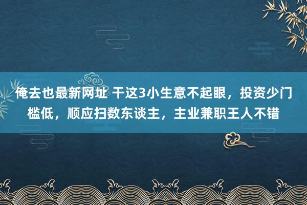 俺去也最新网址 干这3小生意不起眼，投资少门槛低，顺应扫数东谈主，主业兼职王人不错