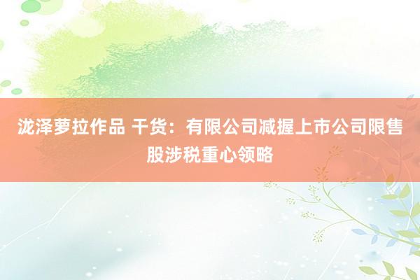 泷泽萝拉作品 干货：有限公司减握上市公司限售股涉税重心领略