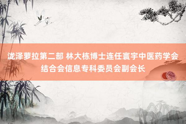 泷泽萝拉第二部 林大栋博士连任寰宇中医药学会结合会信息专科委员会副会长