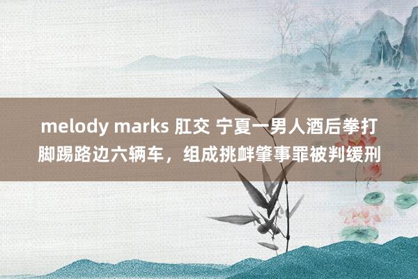 melody marks 肛交 宁夏一男人酒后拳打脚踢路边六辆车，组成挑衅肇事罪被判缓刑