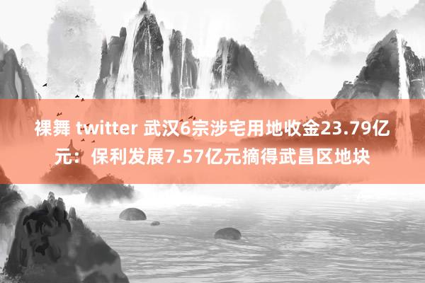 裸舞 twitter 武汉6宗涉宅用地收金23.79亿元：保利发展7.57亿元摘得武昌区地块