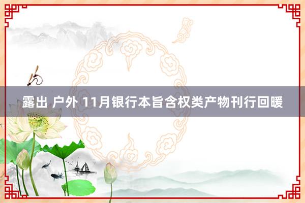 露出 户外 11月银行本旨含权类产物刊行回暖