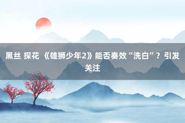 黑丝 探花 《雄狮少年2》能否奏效“洗白”？引发关注
