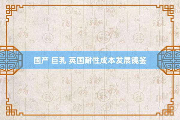 国产 巨乳 英国耐性成本发展镜鉴