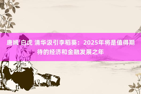 唐嫣 白虎 清华汲引李稻葵：2025年将是值得期待的经济和金融发展之年