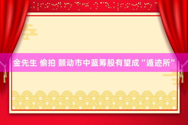 金先生 偷拍 颤动市中蓝筹股有望成“遁迹所”