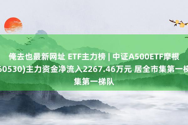 俺去也最新网址 ETF主力榜 | 中证A500ETF摩根(560530)主力资金净流入2267.46万元 居全市集第一梯队