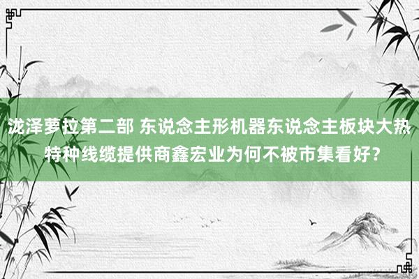 泷泽萝拉第二部 东说念主形机器东说念主板块大热 特种线缆提供商鑫宏业为何不被市集看好？