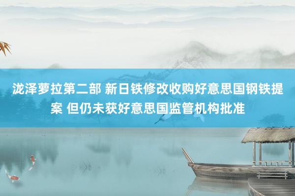泷泽萝拉第二部 新日铁修改收购好意思国钢铁提案 但仍未获好意思国监管机构批准
