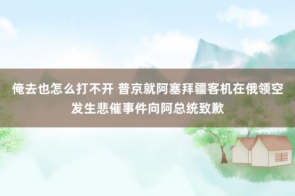 俺去也怎么打不开 普京就阿塞拜疆客机在俄领空发生悲催事件向阿总统致歉
