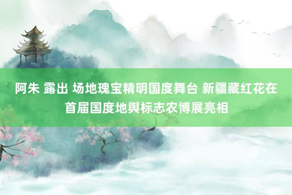 阿朱 露出 场地瑰宝精明国度舞台 新疆藏红花在首届国度地舆标志农博展亮相