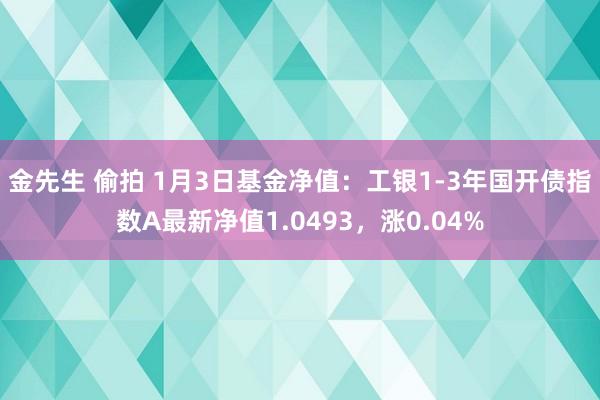 金先生 偷拍 1月3日基金净值：工银1-3年国开债指数A最新净值1.0493，涨0.04%