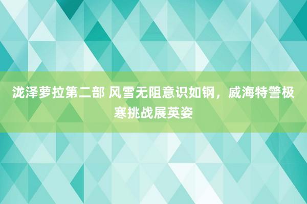 泷泽萝拉第二部 风雪无阻意识如钢，威海特警极寒挑战展英姿