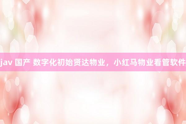 jav 国产 数字化初始贤达物业，小红马物业看管软件