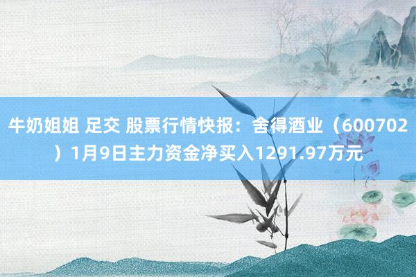牛奶姐姐 足交 股票行情快报：舍得酒业（600702）1月9日主力资金净买入1291.97万元