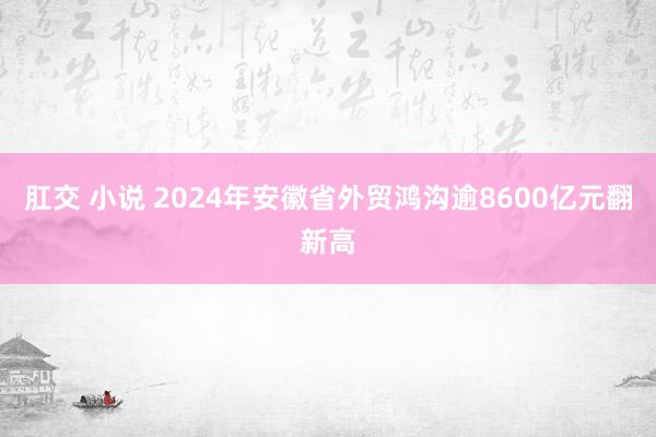 肛交 小说 2024年安徽省外贸鸿沟逾8600亿元翻新高