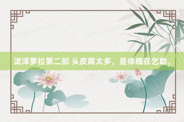 泷泽萝拉第二部 头皮屑太多，是体魄在乞助。