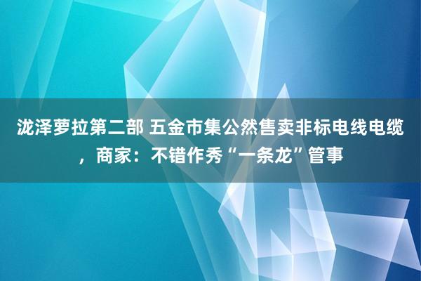 泷泽萝拉第二部 五金市集公然售卖非标电线电缆，商家：不错作秀“一条龙”管事