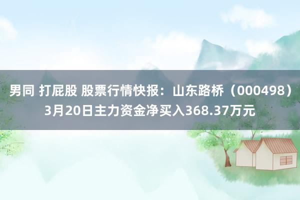 男同 打屁股 股票行情快报：山东路桥（000498）3月20日主力资金净买入368.37万元