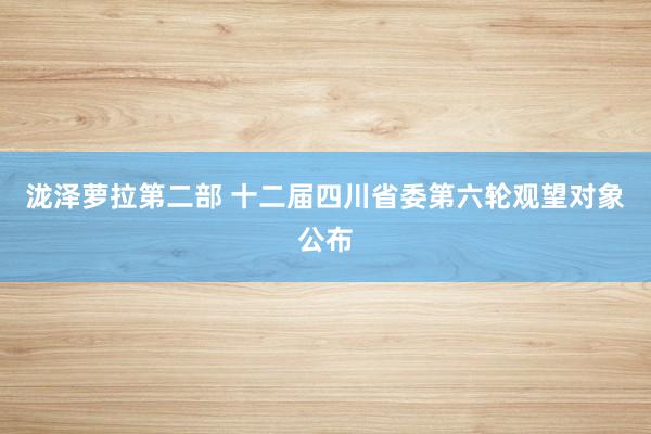 泷泽萝拉第二部 十二届四川省委第六轮观望对象公布
