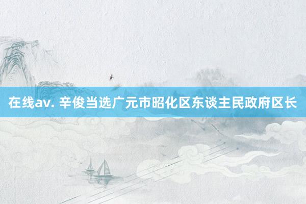 在线av. 辛俊当选广元市昭化区东谈主民政府区长