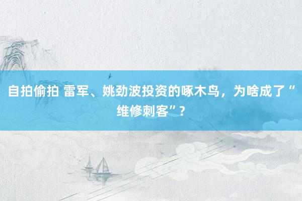 自拍偷拍 雷军、姚劲波投资的啄木鸟，为啥成了“维修刺客”?