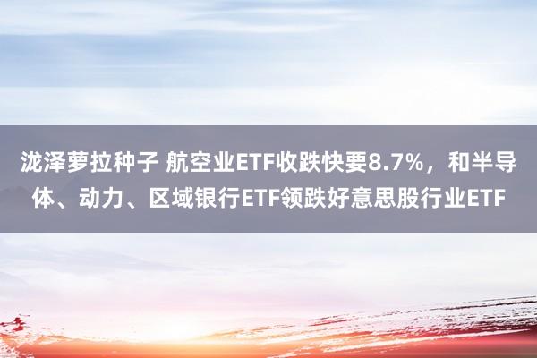 泷泽萝拉种子 航空业ETF收跌快要8.7%，和半导体、动力、区域银行ETF领跌好意思股行业ETF