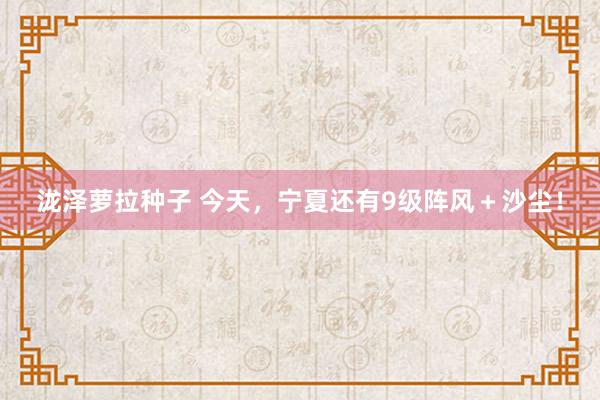 泷泽萝拉种子 今天，宁夏还有9级阵风＋沙尘！
